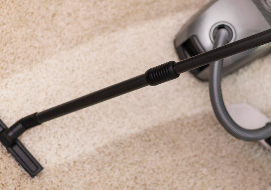 Carpet Cleaning services in Kingston