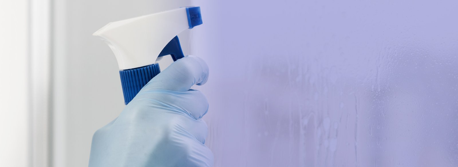 cleaning expert in kingston